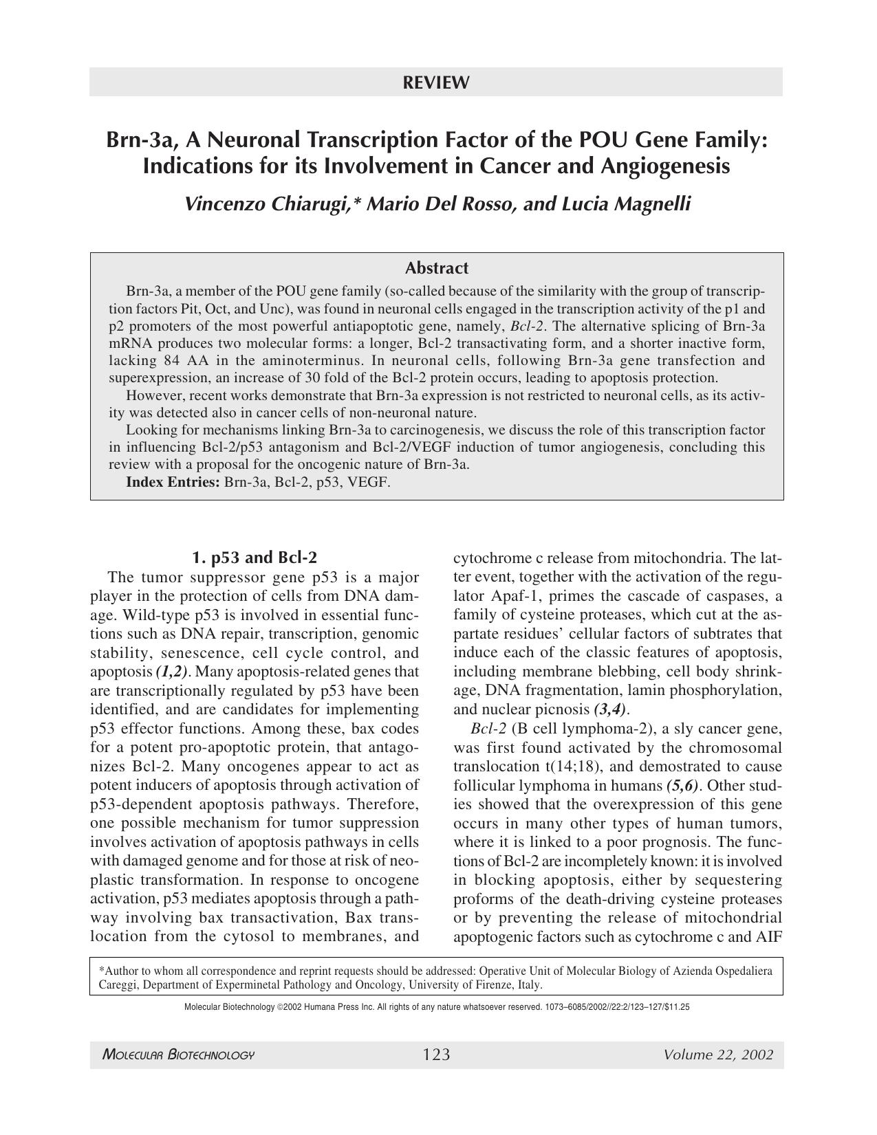 Brn-3a, a neuronal transcription factor of the POU gene family: Indications for its involvement in cancer and angiogenesis by Unknown
