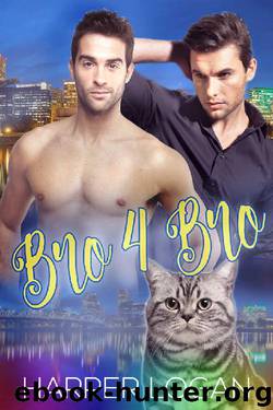 Bro 4 Bro by Harper Logan
