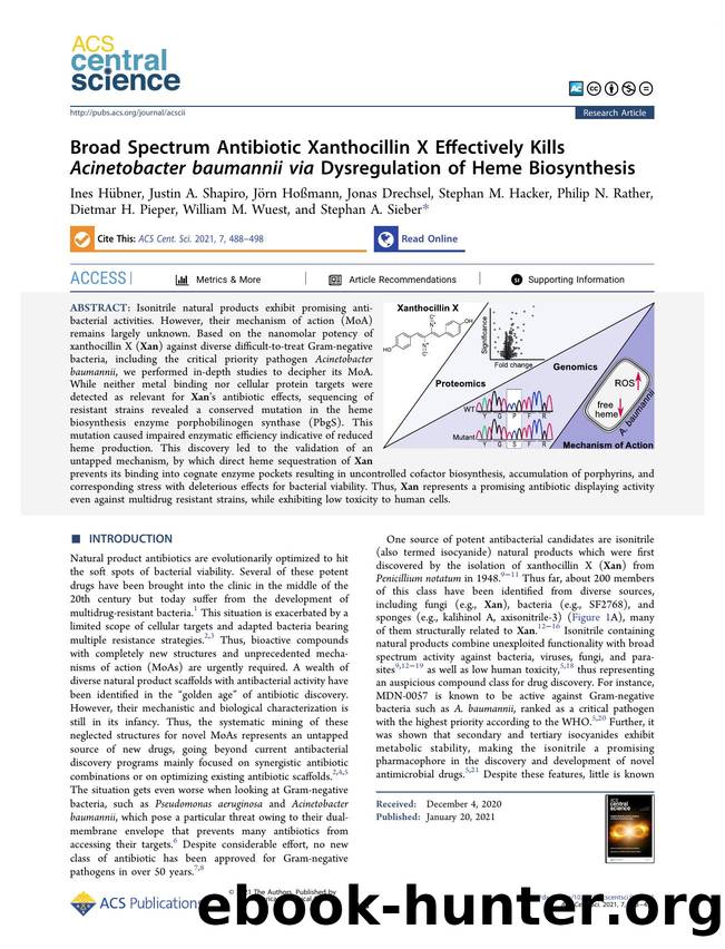 Broad Spectrum Antibiotic Xanthocillin X Effectively Kills Acinetobacter baumannii via Dysregulation of Heme Biosynthesis by unknow