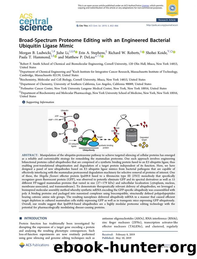 Broad-Spectrum Proteome Editing with an Engineered Bacterial Ubiquitin Ligase Mimic by unknow