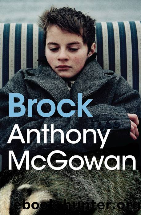 Brock by Anthony McGowan