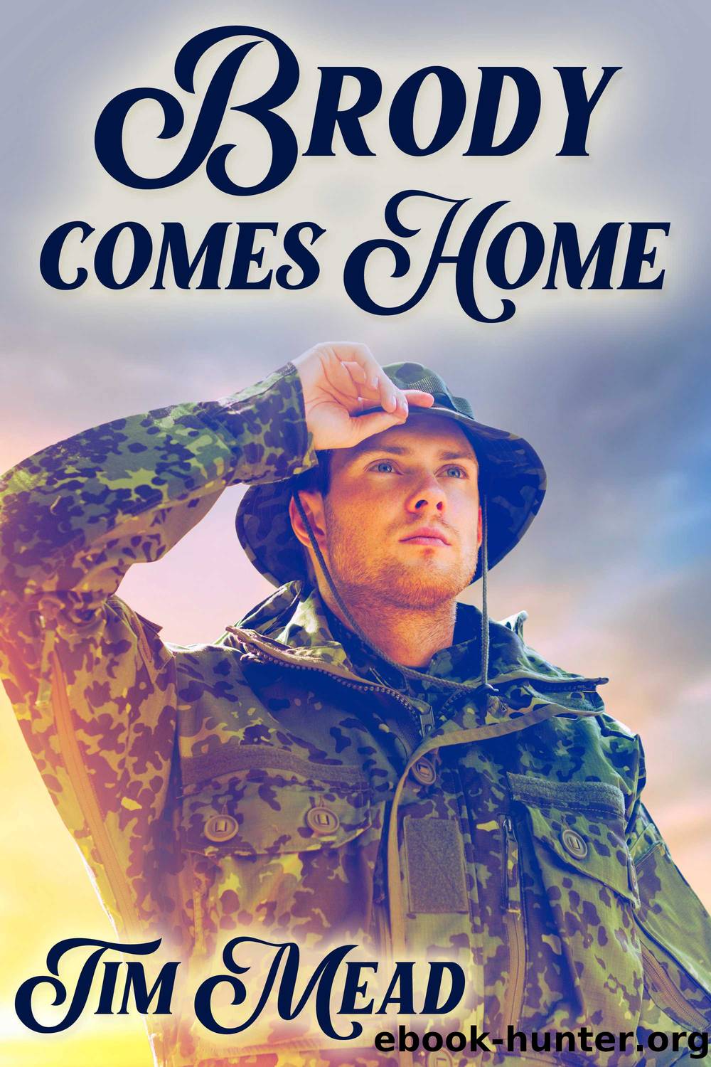 Brody Comes Home by Tim Mead