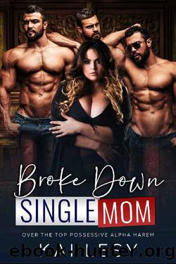 Broke Down Single Mom: A Military Reverse Harem Romance (Lucky Lady Reverse Harems) by Kai Lesy