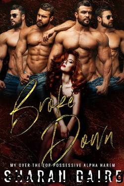 Broke Down: My Over the Top Possessive Alpha Harem by Sharan Daire