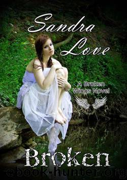 Broken (Broken Wings) by Sandra Love