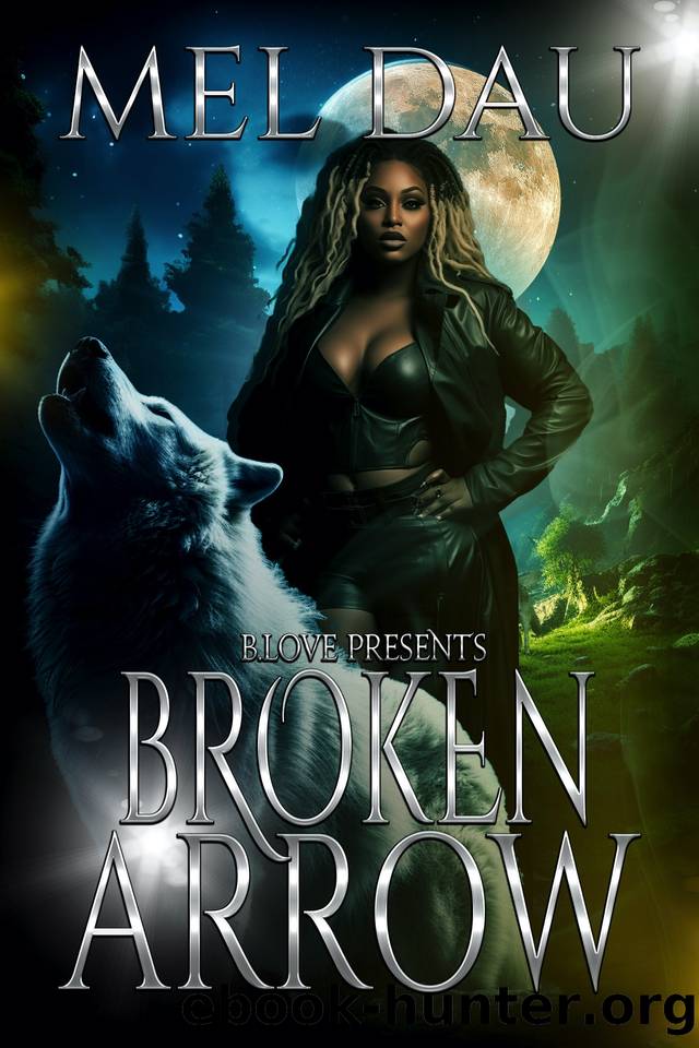 Broken Arrow by Dau Mel