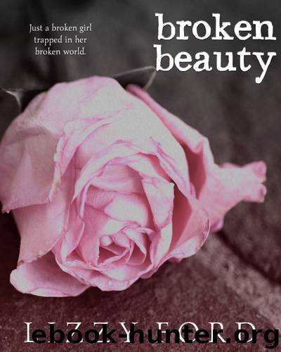 Broken Beauty by Lizzy Ford