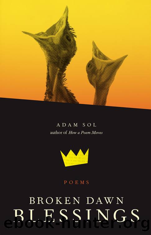 Broken Dawn Blessings by Adam Sol