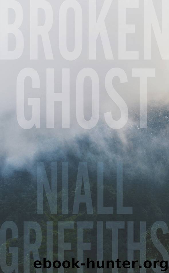 Broken Ghost by Niall Griffiths