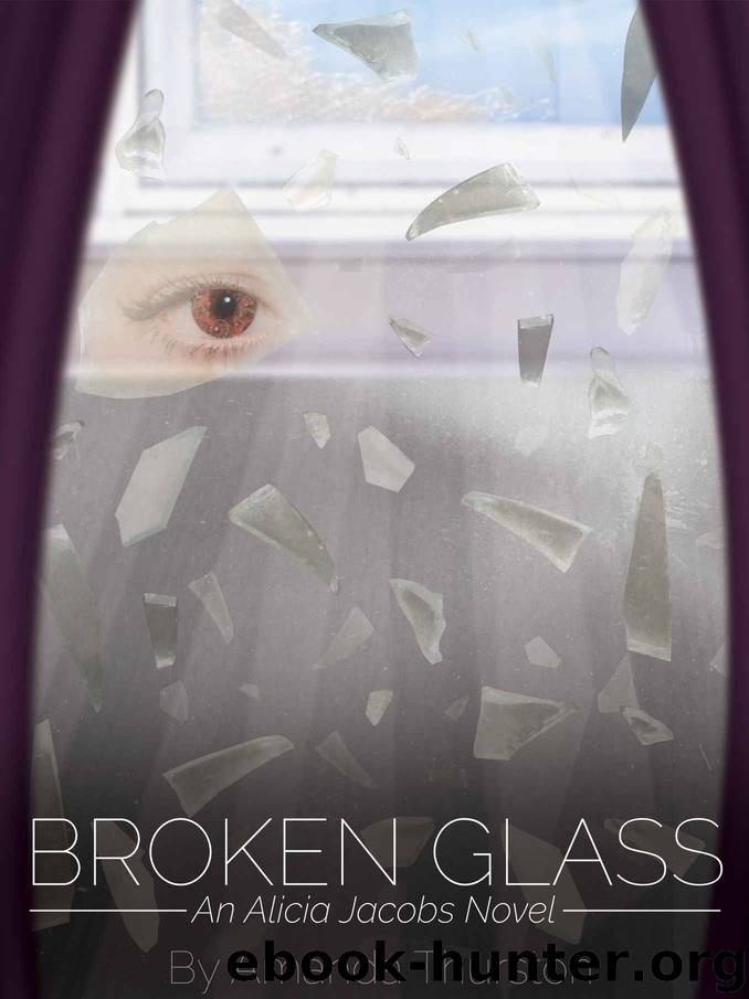 Broken Glass by Amanda Thurston