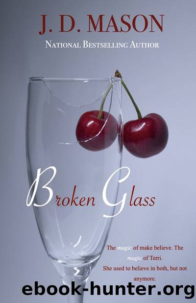 Broken Glass by J. D. Mason
