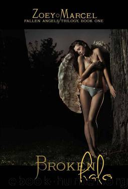 Broken Halo: Fallen Angels Trilogy, Book One by Marcel Zoey