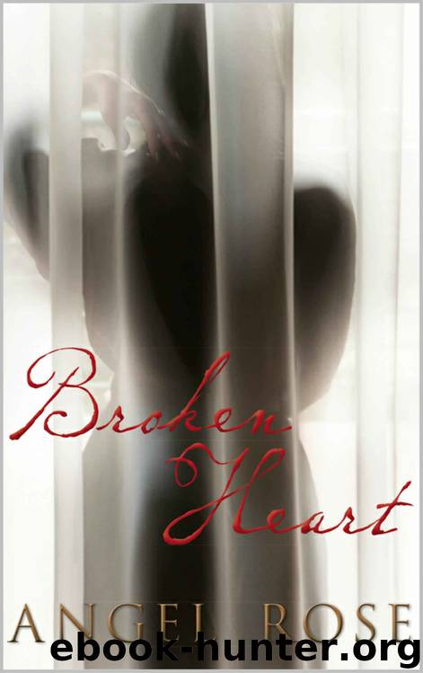 Broken Heart (Broken Heart #1) by Angel Rose