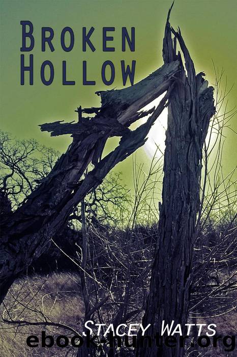 Broken Hollow by Stacey Watts