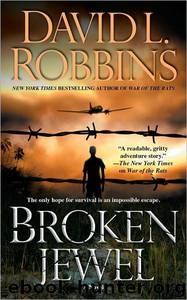 Broken Jewel by David L. Robbins