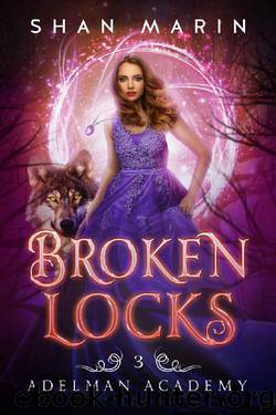 Broken Locks (Adelman Academy Book 3) by Shan Marin