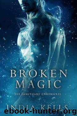 Broken Magic: The Sanctuary Chronicles by India Kells