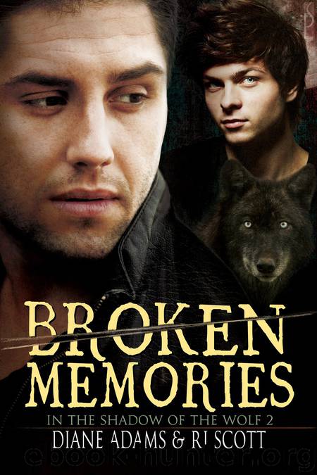 Broken Memories by RJ Scott;Diane Adams