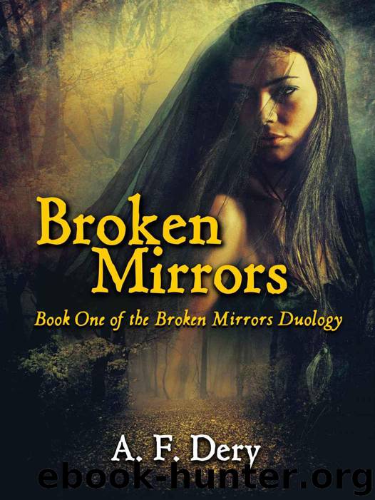 Broken Mirrors by Dery A. F