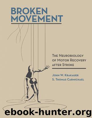 Broken Movement by John W. Krakauer & S. Thomas Carmichael