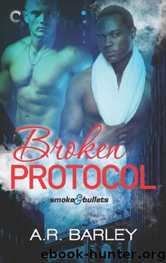 Broken Protocol (Smoke & Bullets) by A.R. Barley
