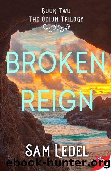 Broken Reign by Sam Ledel