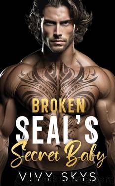 Broken SEAL'S Secret Baby : A Brother's Best Friend Enemies To Lovers Romance (Billionaire Protectors: (The Lanes Series)) by VIVY SKYS