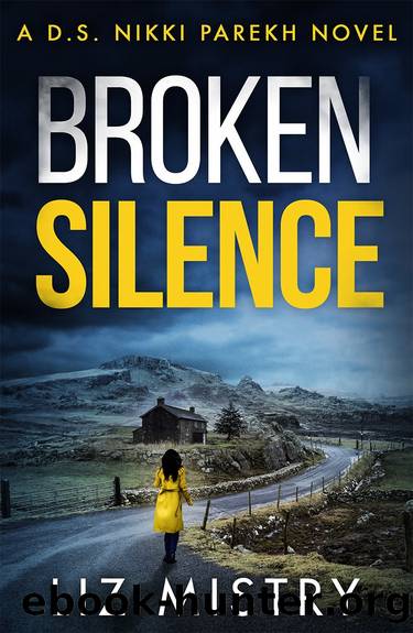 Broken Silence by Liz Mistry