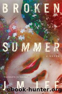 Broken Summer: A Novel by J.M. Lee
