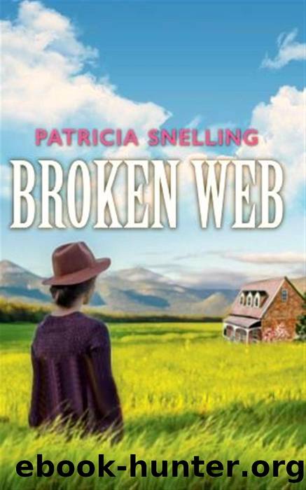 Broken Web by Patricia Snelling