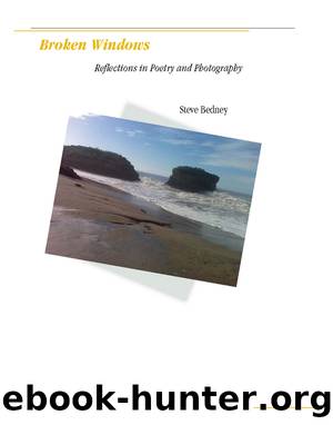 Broken Windows by Steve Bedney