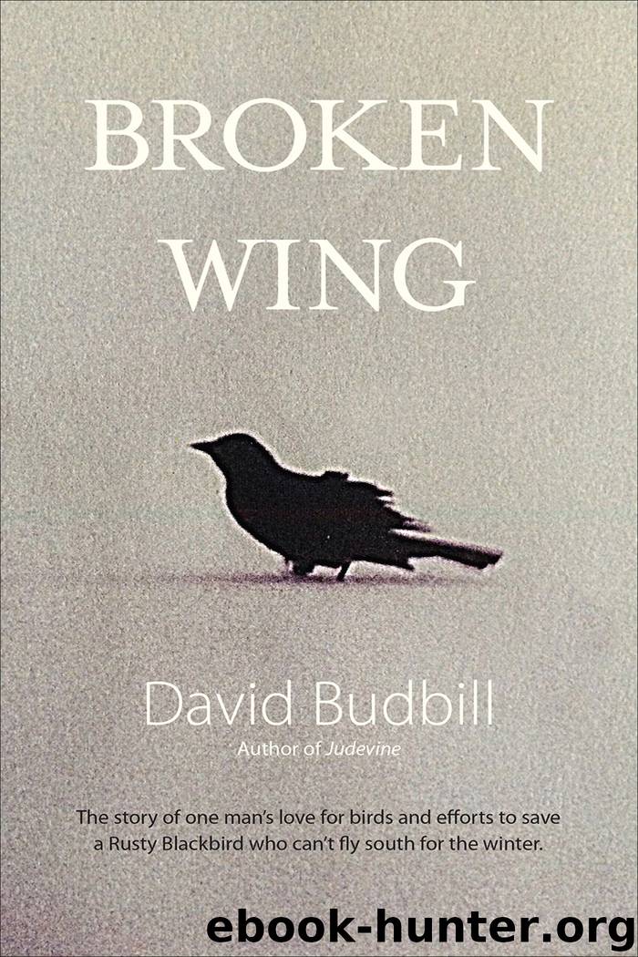 Broken Wing by Budbill David; Saaf Donald;