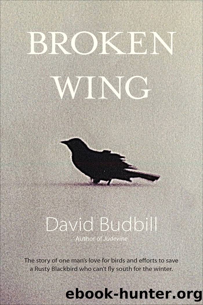 Broken Wing by David Budbill & Donald Saaf