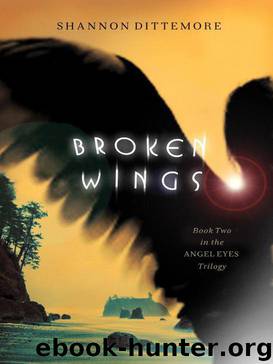 Broken Wings (An Angel Eyes Novel) by Dittemore Shannon