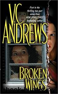 Broken Wings (Broken Wings #1) by V.C. Andrews