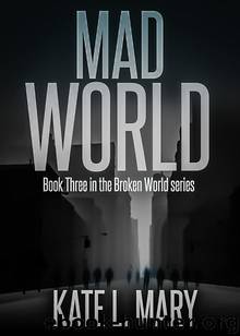 Broken World (Book 3): Mad World by Mary Kate L