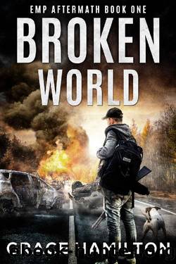 Broken World (EMP Aftermath Book 1) by Grace Hamilton