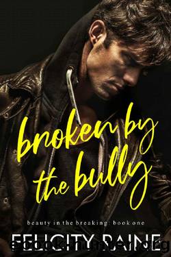 Broken by the Bully (Beauty in the Breaking Book 1) by Felicity Raine