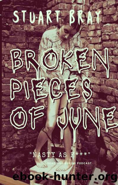 Broken pieces of June by Stuart Bray