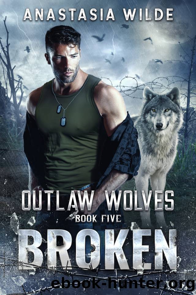 Broken: A Fated Mates Wolf Shifter Romance by Anastasia Wilde