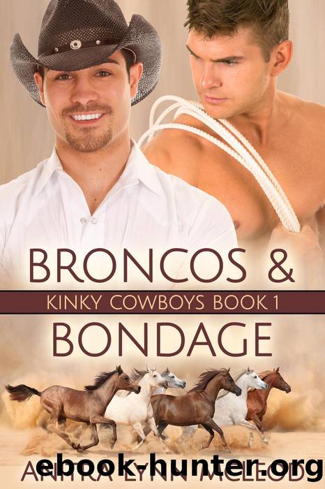 Broncos & Bondage by Anitra Lynn McLeod