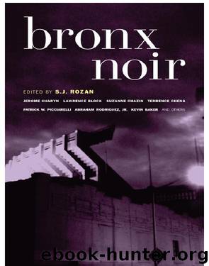 Bronx Noir by S. J. Rozan