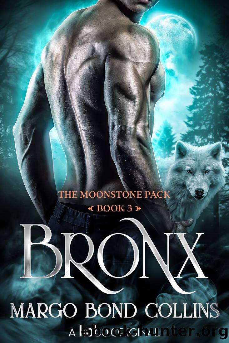 Bronx by Margo Bond Collins