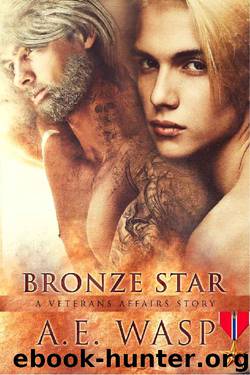 Bronze Star: A Veterans Affairs Novel by A. E. Wasp