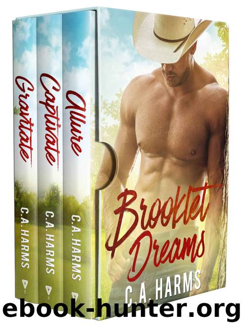 Brooklet Dreams Series by C.A. Harms