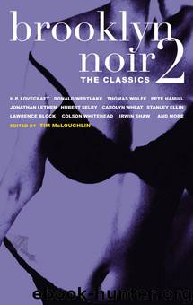 Brooklyn Noir 2: The Classics (Akashic Noir) by Tim McLoughlin