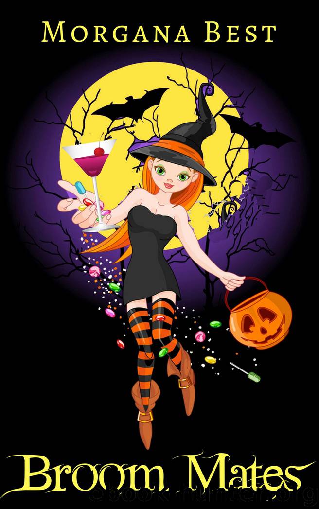 Broom Mates by Morgana Best