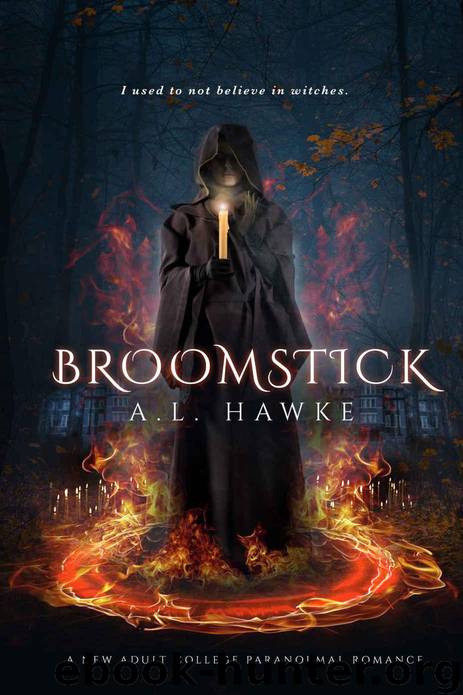 Broomstick by A L Hawke