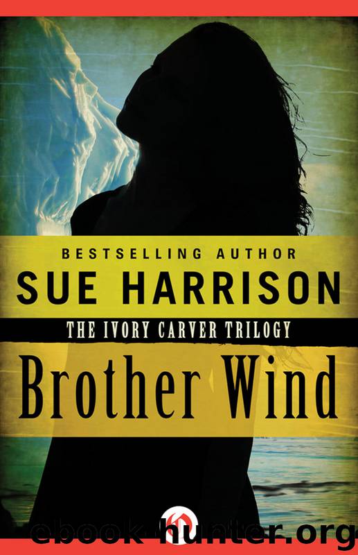 Brother Wind by Sue Harrison
