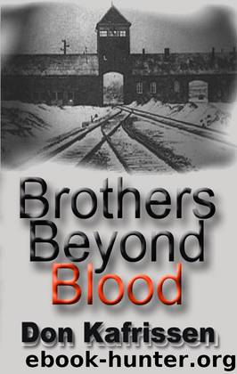 Brothers Beyond Blood by Don Kafrissen